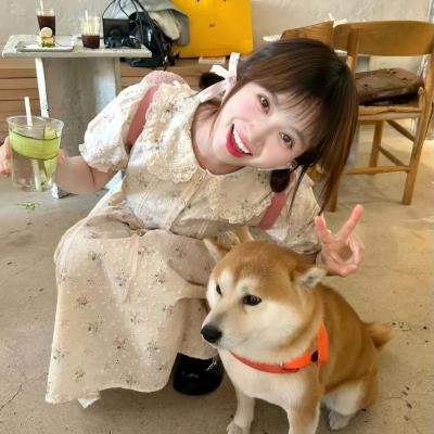 双面海德